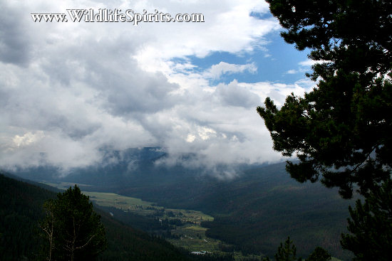 Click Picture to send as an  E-PostCard 63k 550x367